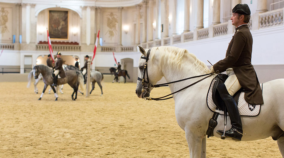 École espagnole d’Équitation Art d’équitation classique