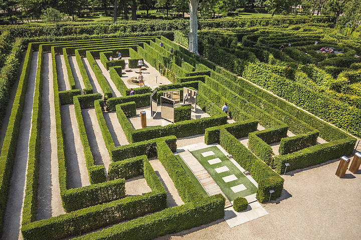 Maze Schönbrunn
