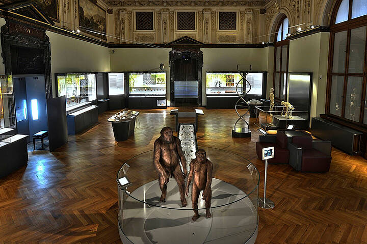 Doğa tarihi Müzesi