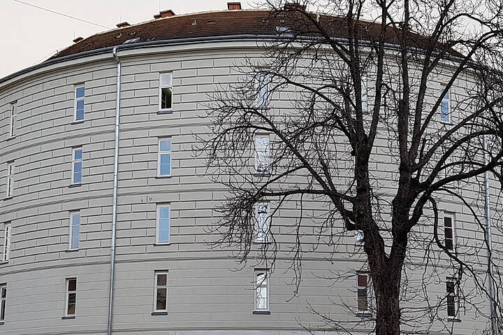 Narrenturm - Patolojik-anatomik koleksiyon