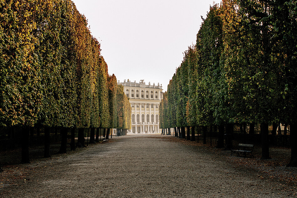 Schloss Schönbrunn betrachtet durch eine Allee