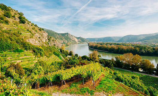 [Translate to English:] 