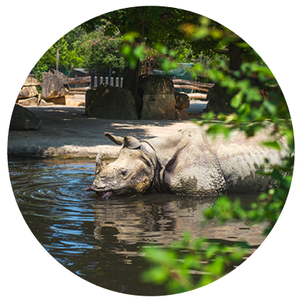 Parc zoologique de Schönbrunn