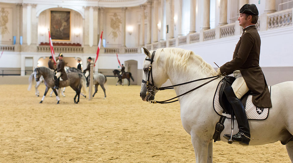 Spanische Hofreitschule klassische Reitkunst