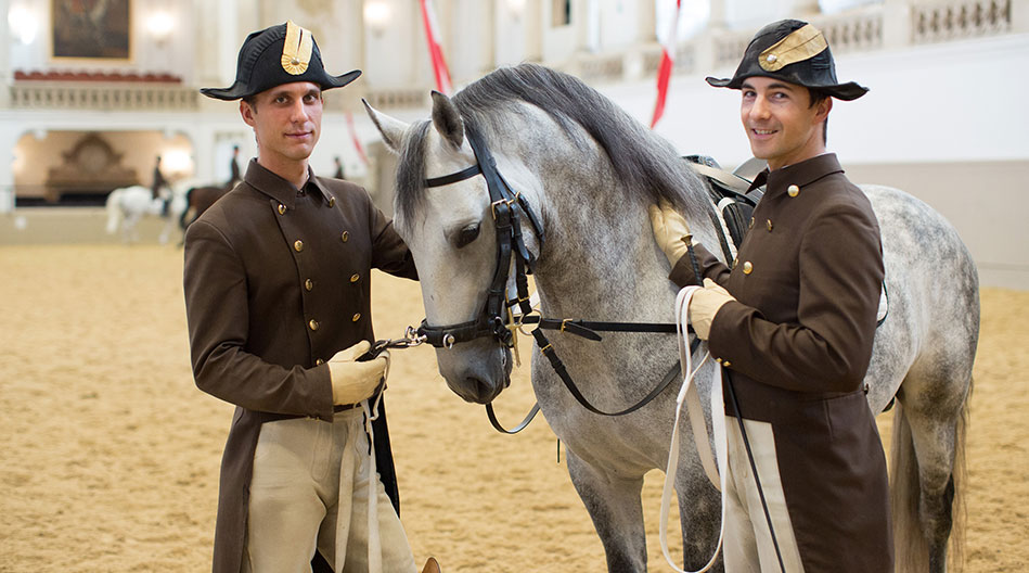 Spanische Hofreitschule Lipizzaner Morgenarbeit