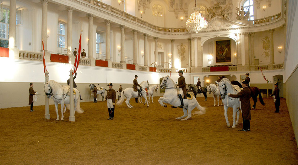 Escuela Española de Equitación Sala barroca de equitación